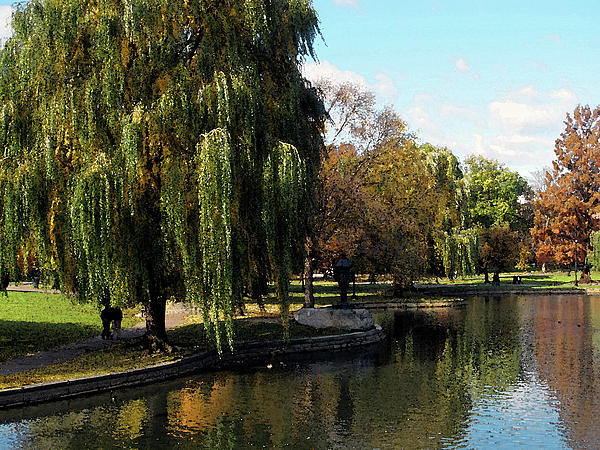 Boston Public Garden Watercolor Photograph